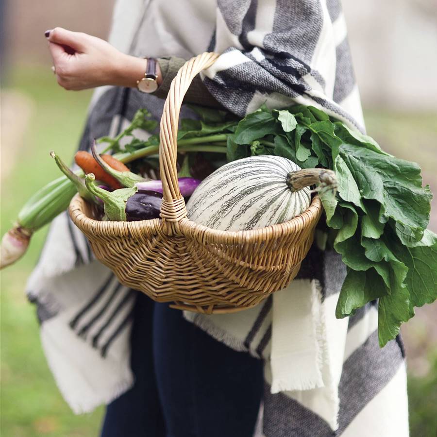 Flores y plantas de invierno que resisten el frío