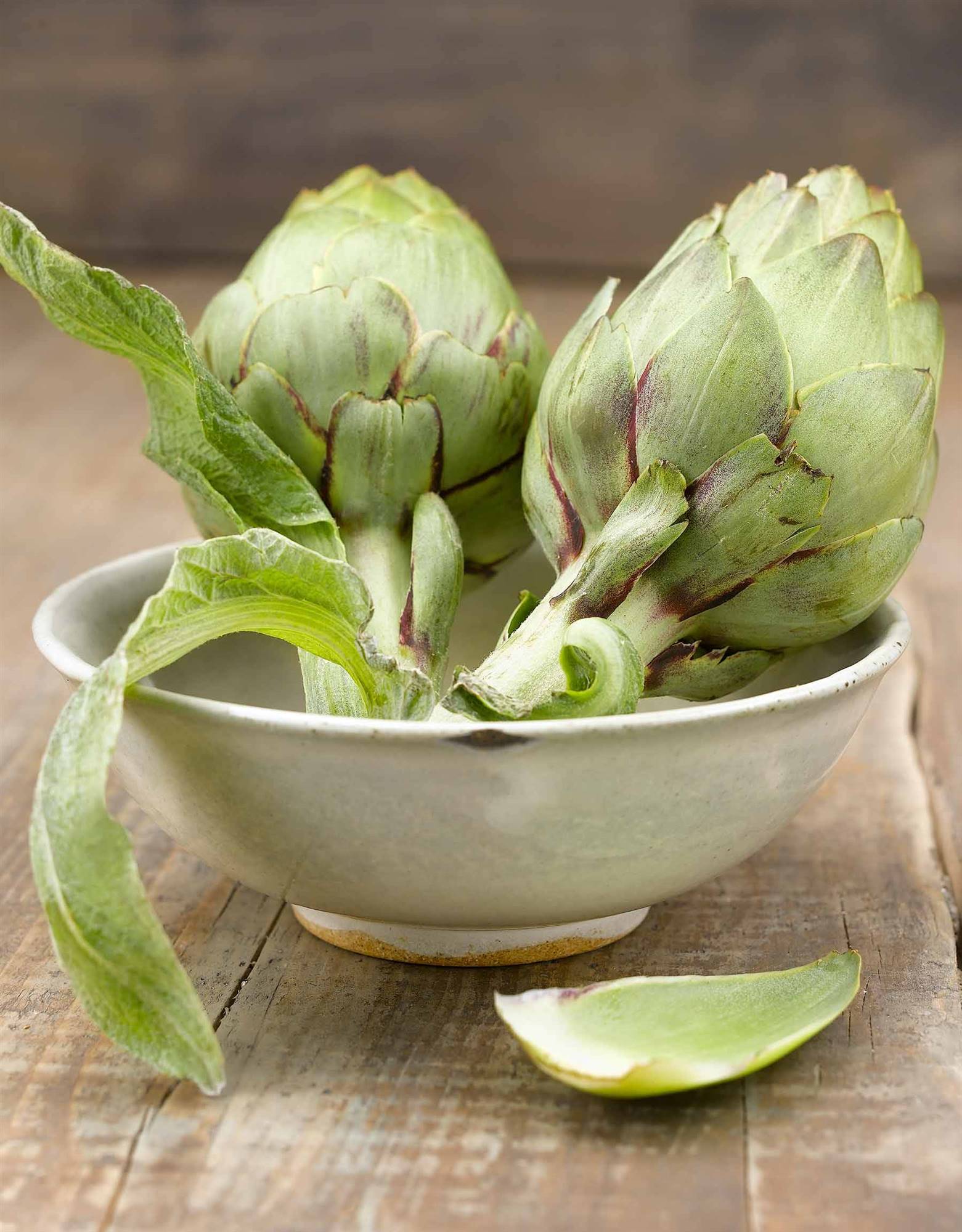 ALCACHOFA