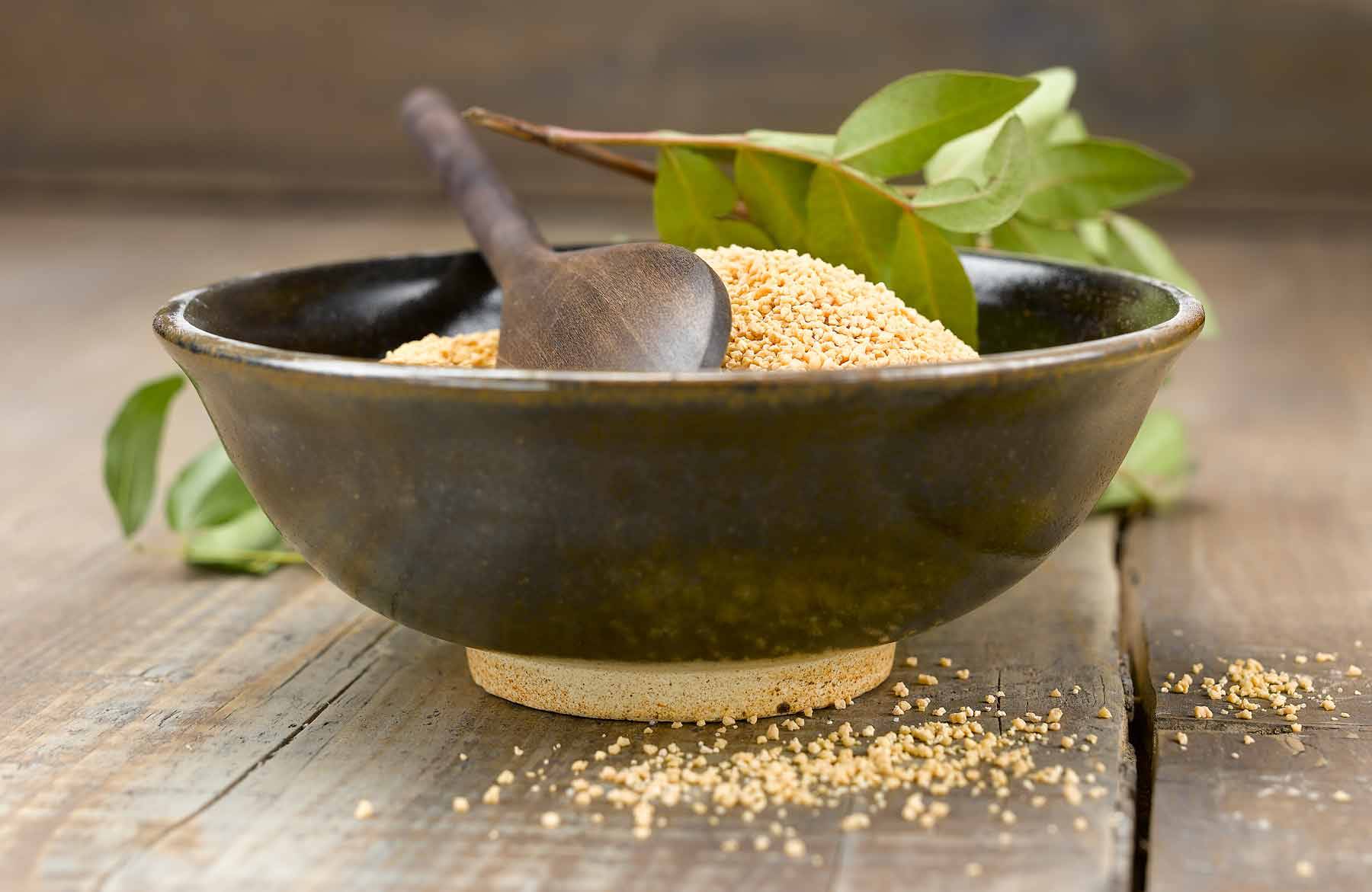 LECITINA-DE-SOJA