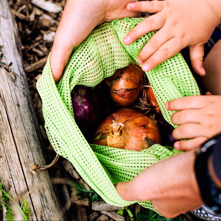 Desperdicio cero y más vegetales: ¡lo pide el planeta!