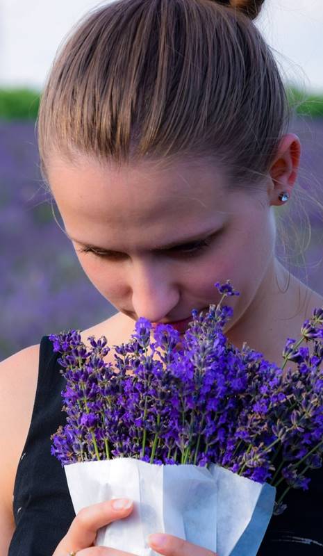 Olor: cómo funciona el olfato,por qué perdemos el olfato y cómo recuperarlo