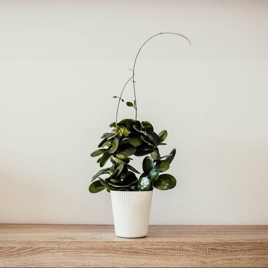 Con estos 7 consejos puedes crear más espacio en tu casa