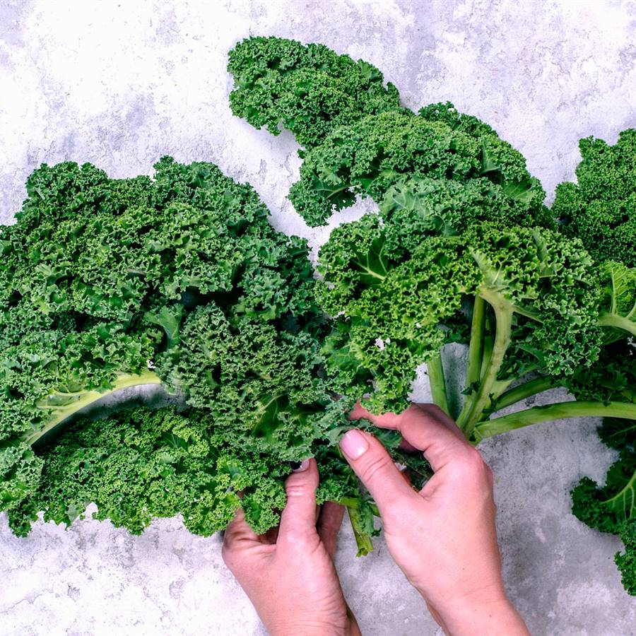 Los 30 mejores alimentos para subir las defensas