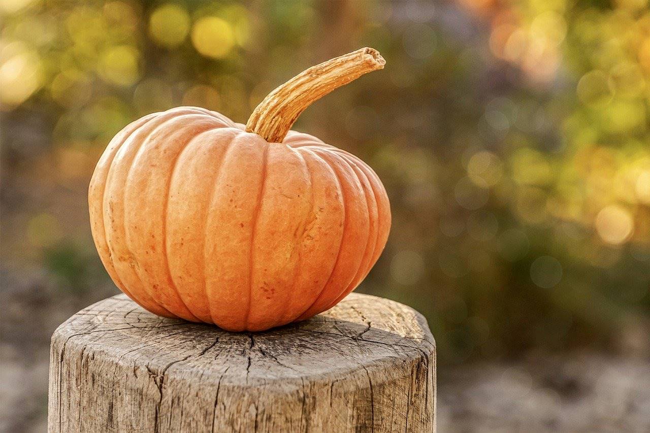 calabaza-corazon