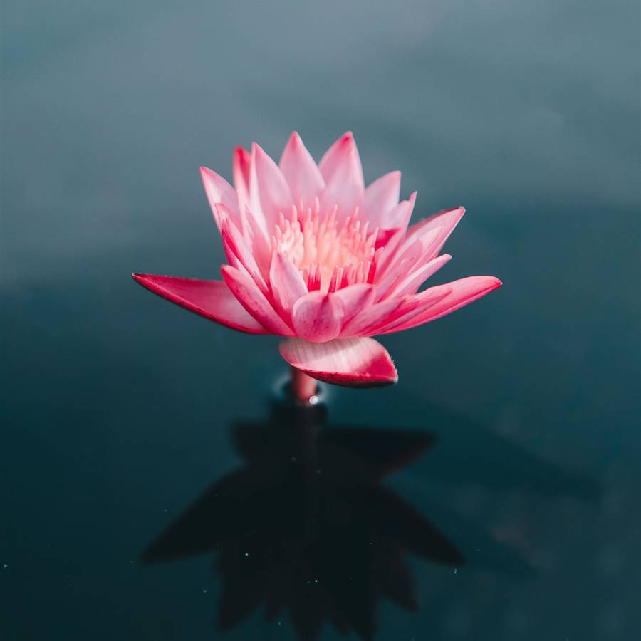 Música para meditar y relajar la mente