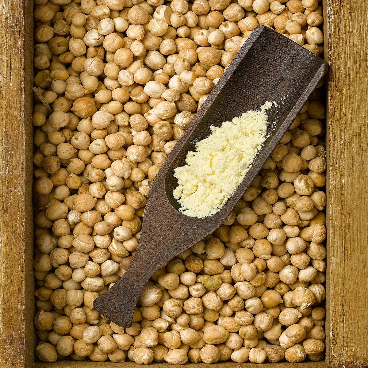 GARBANZO