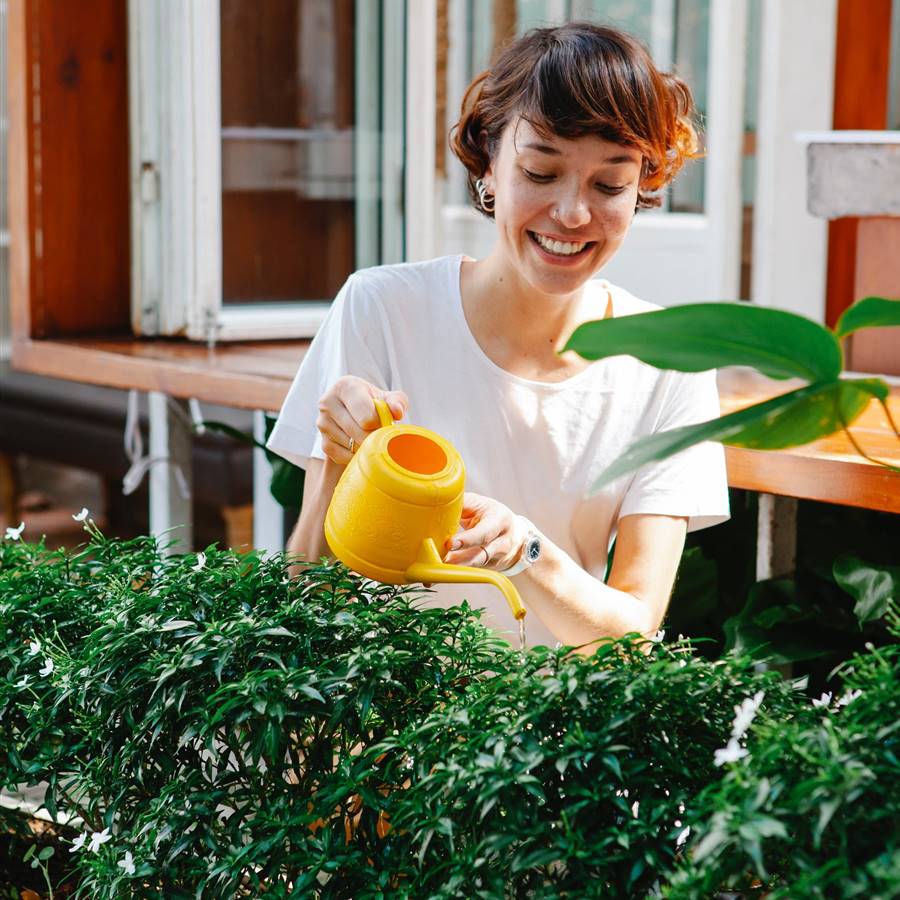 Mujer regando las plantas