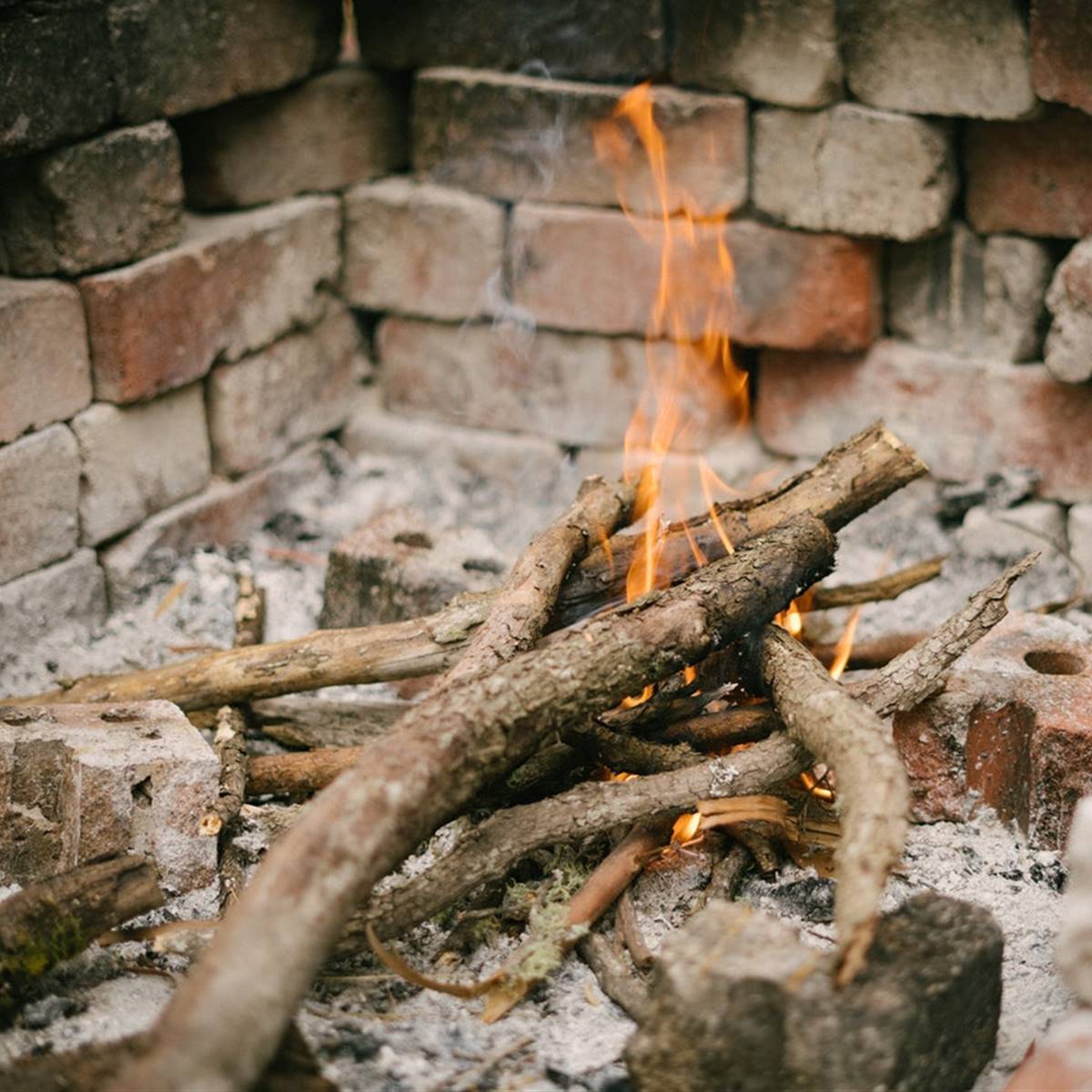 formas de aprovechar las cenizas la chimenea
