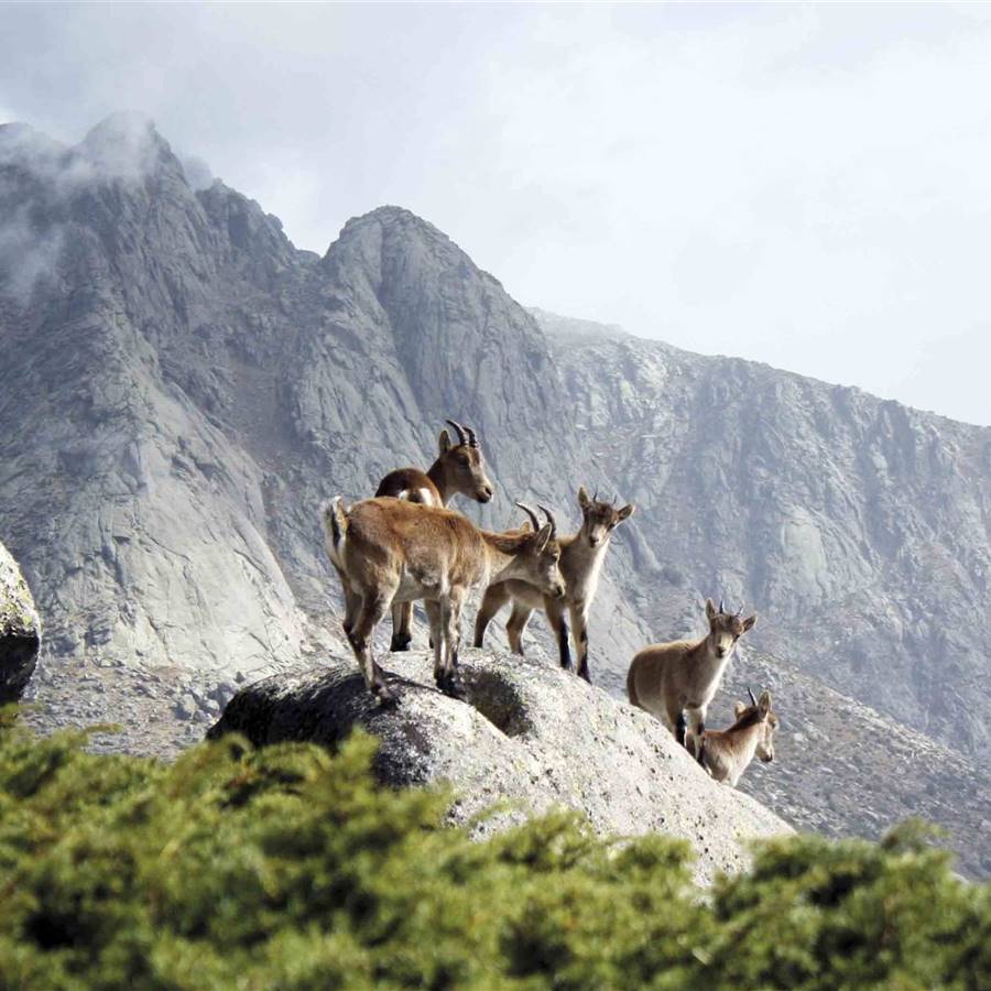 Escapada en Castilla y León: unos días en la Sierra de Gredos