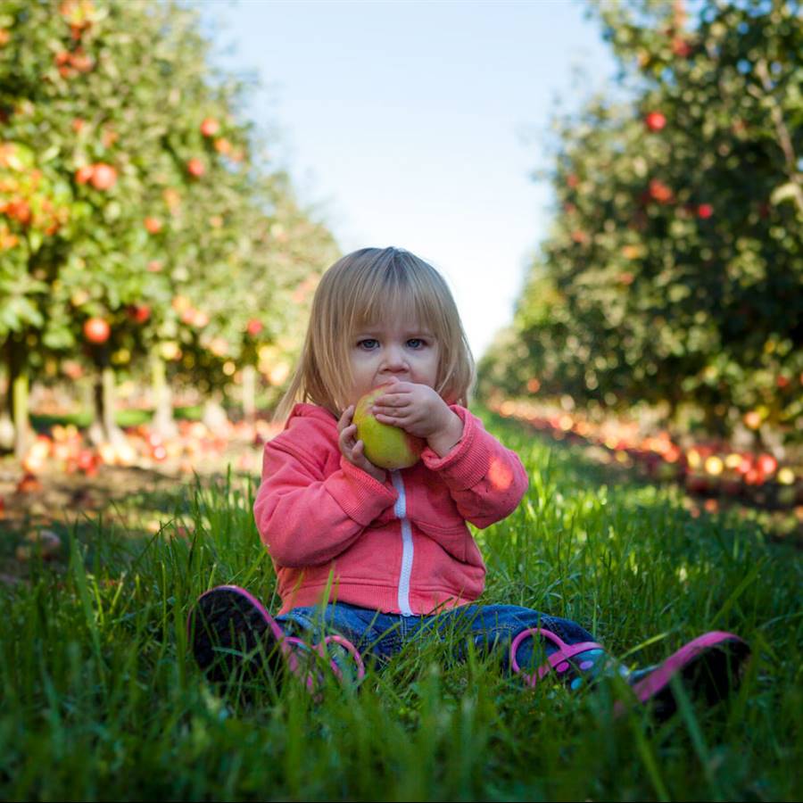 8 iniciativas que aprovechan las frutas y verduras feas