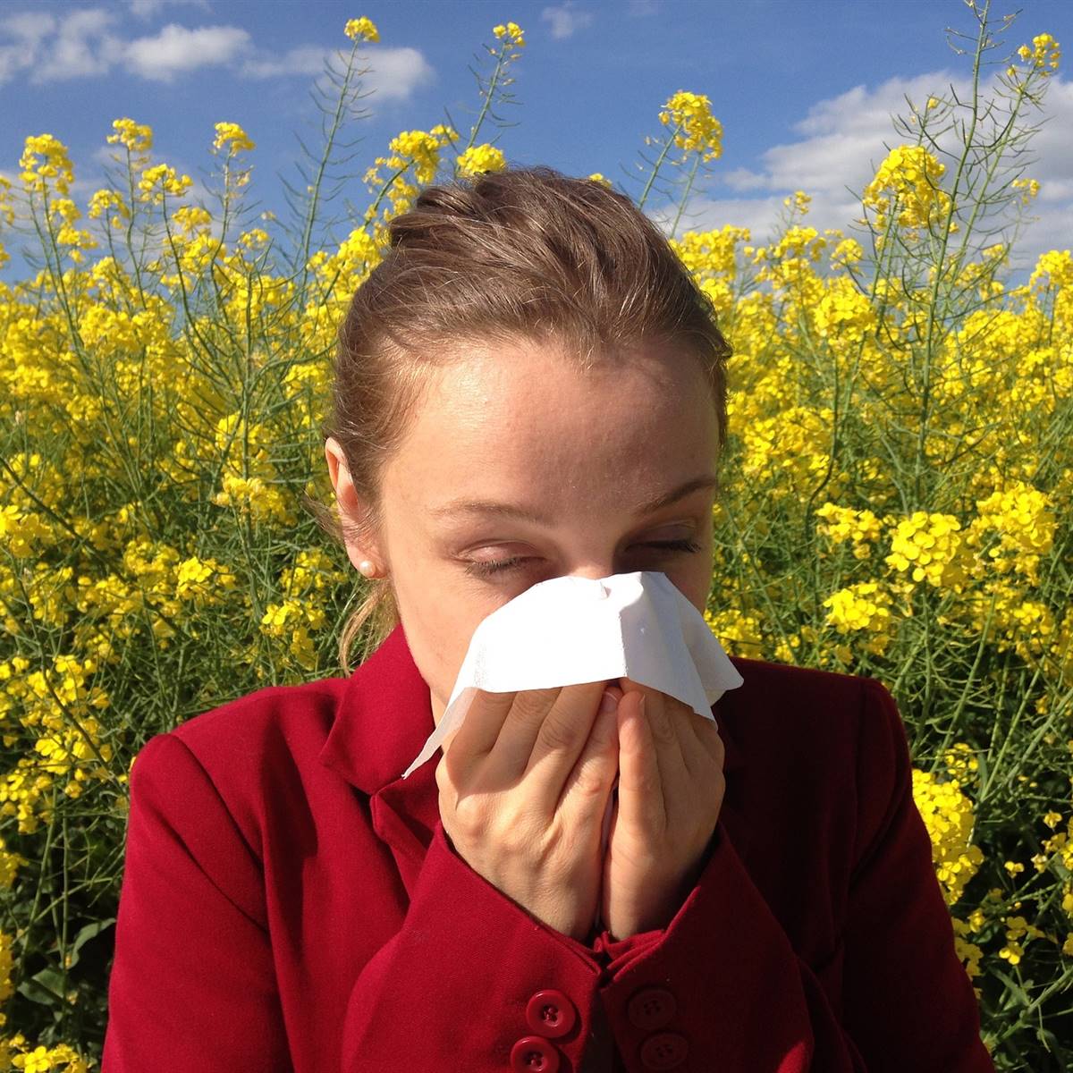 excitación latitud No es suficiente Los mejores remedios caseros contra las alergias