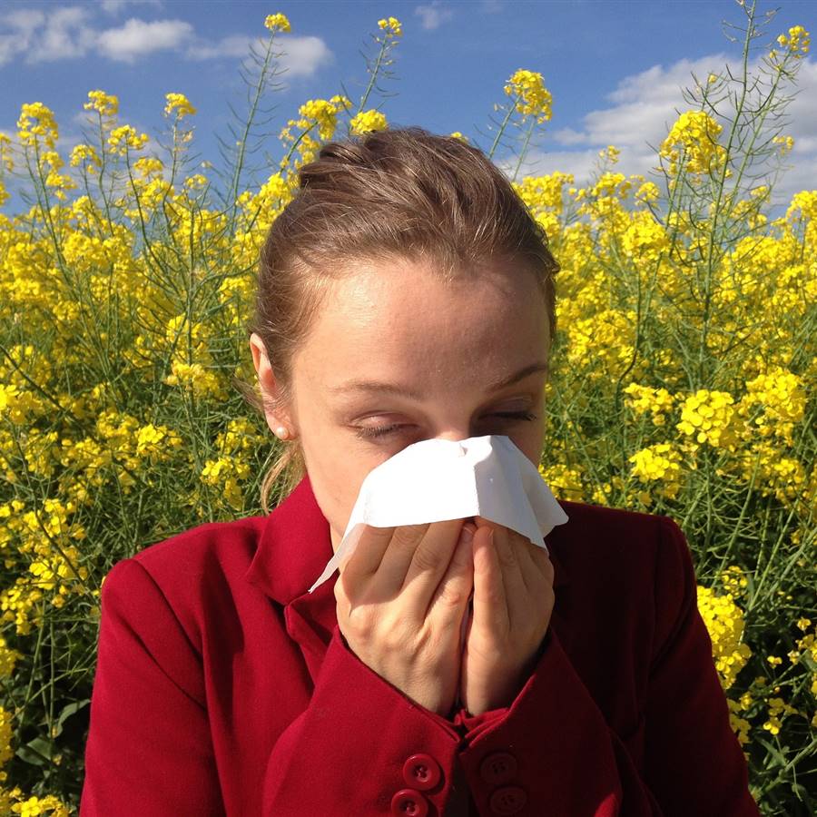 Los mejores remedios caseros contra las alergias