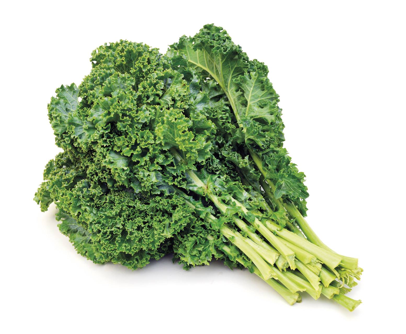 kale-shutterstock 221680531