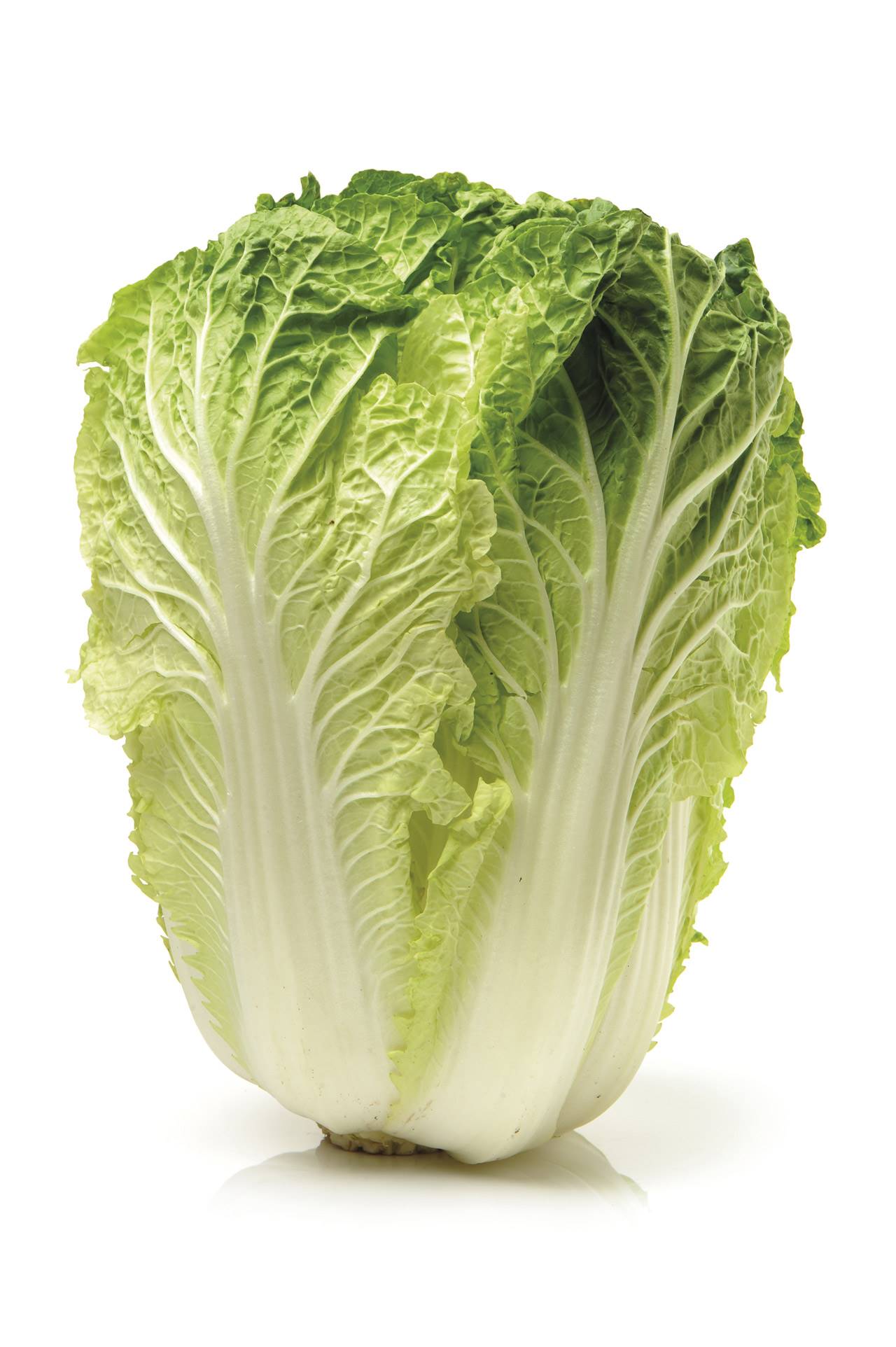lechuga-romana-Depositphotos 52415837 xl-2015