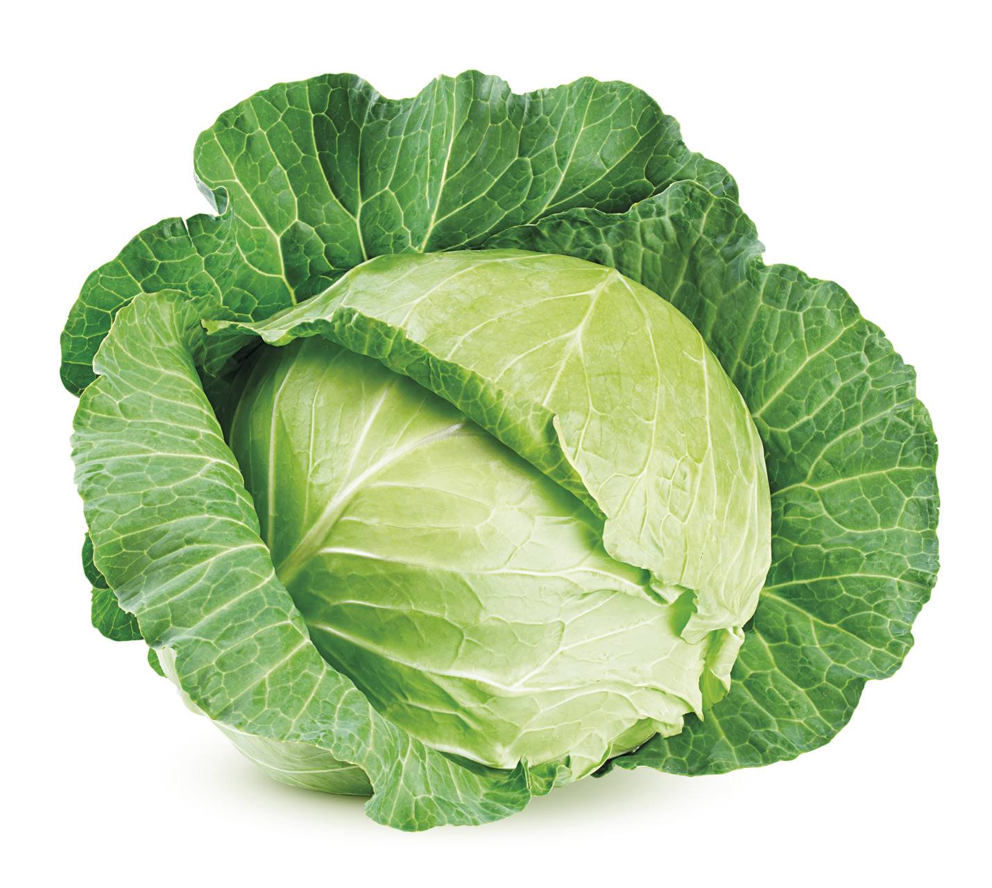 repollo-shutterstock 1517668238