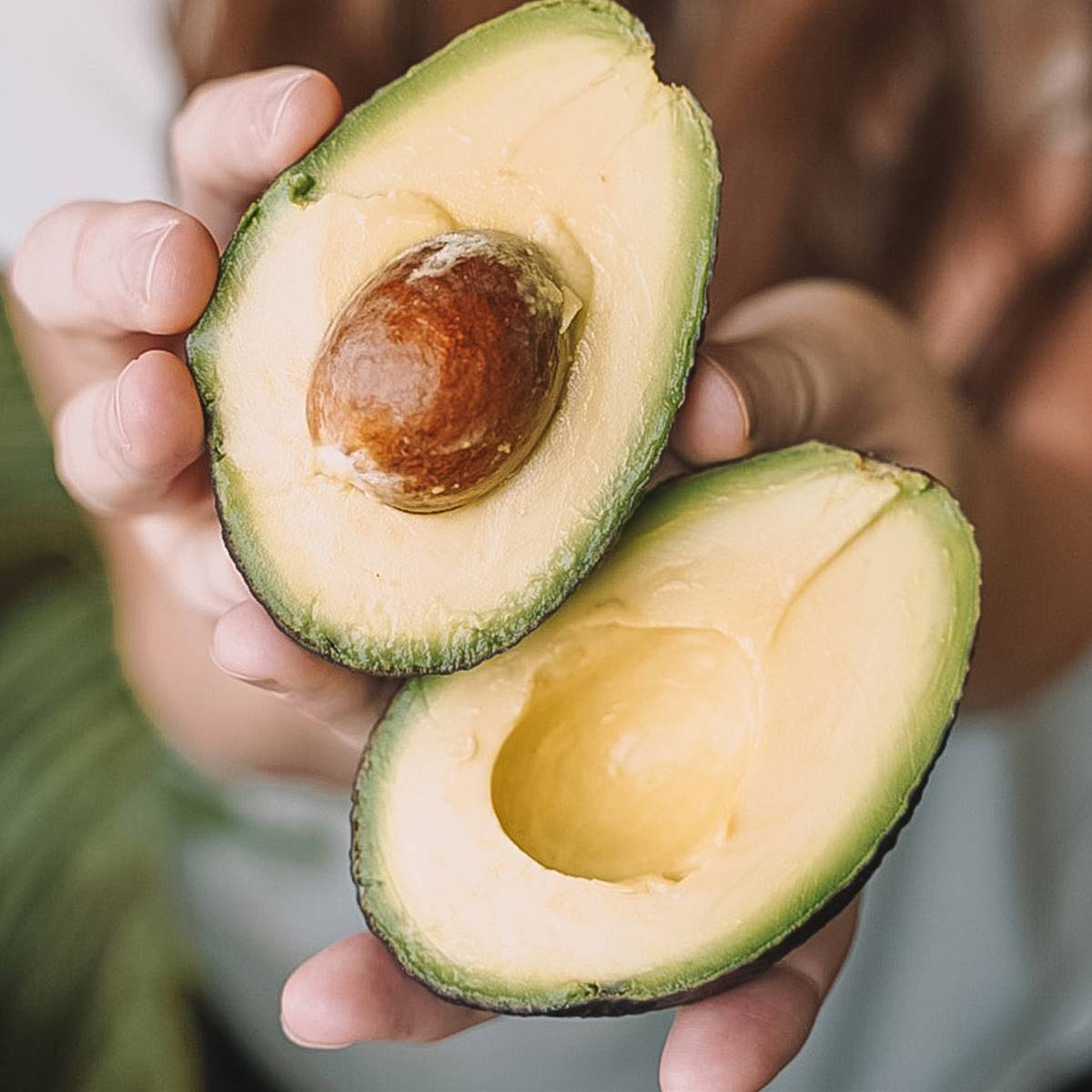 aguacate