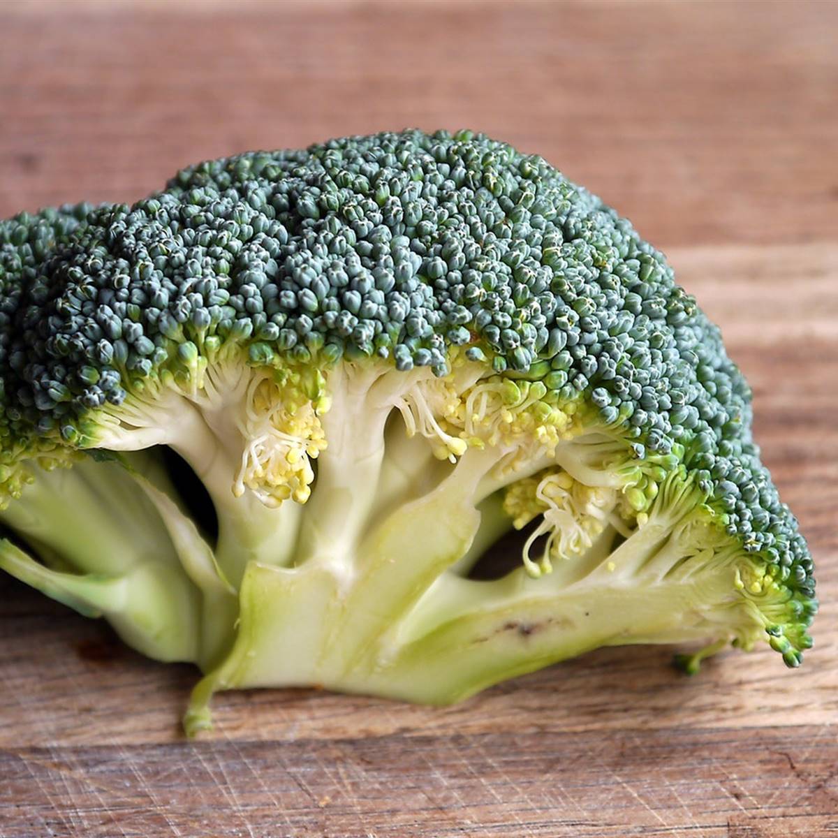 broccoli