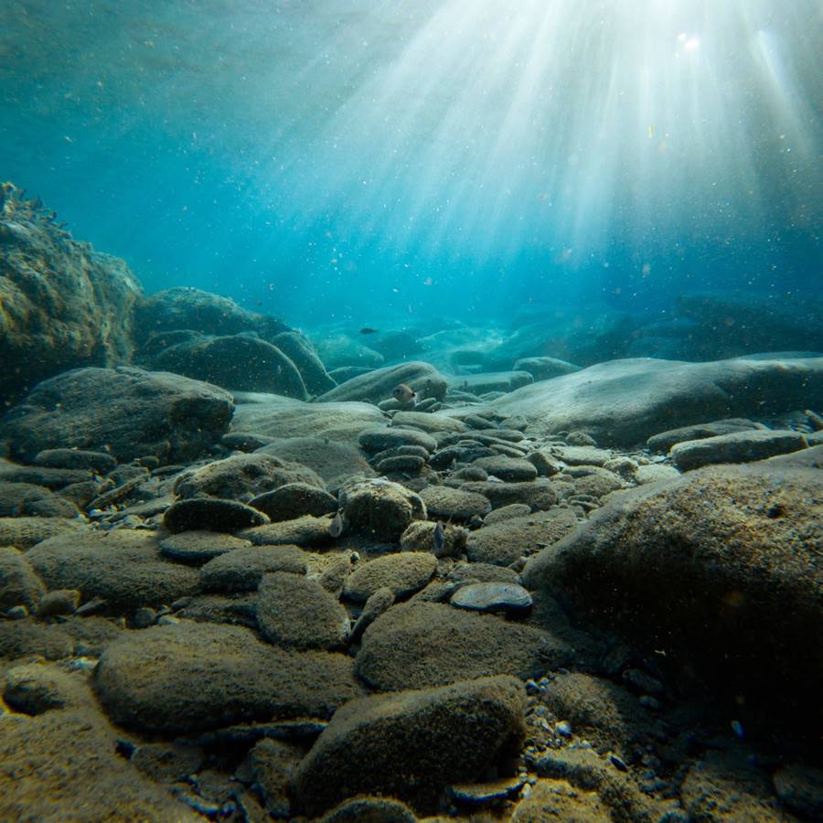 El mar es la nueva gran farmacia natural