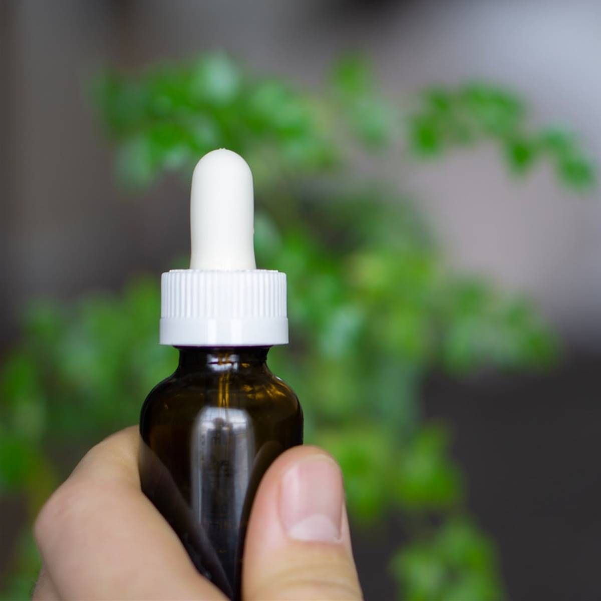 homeopatía alergia