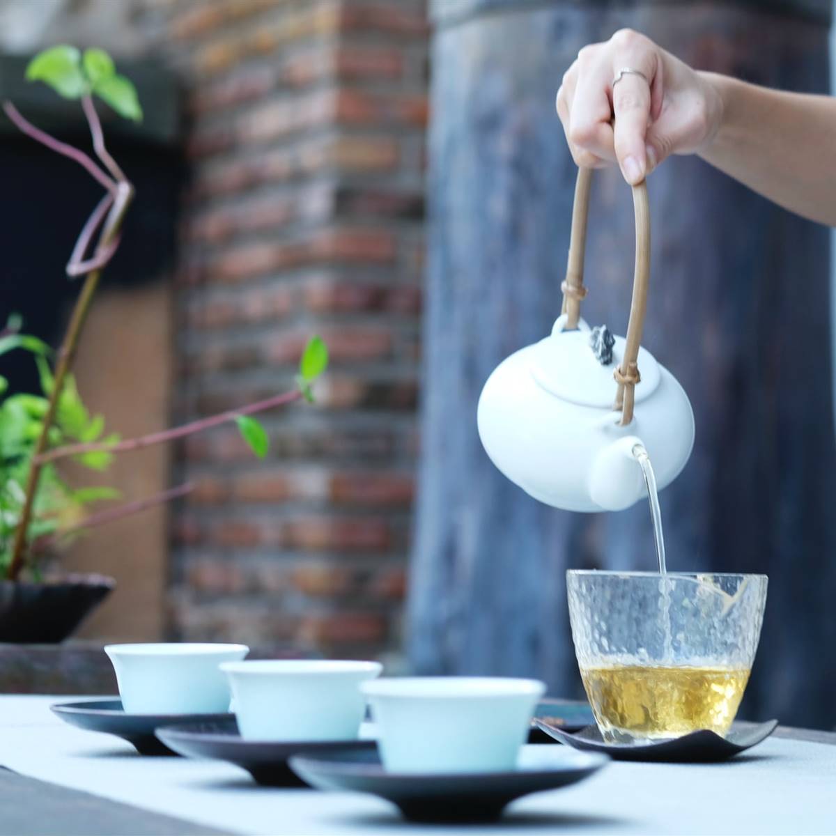 Infusión