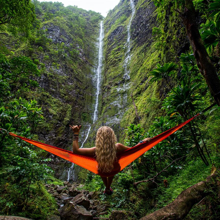 6 consejos para ayudar a proteger las selvas tropicales