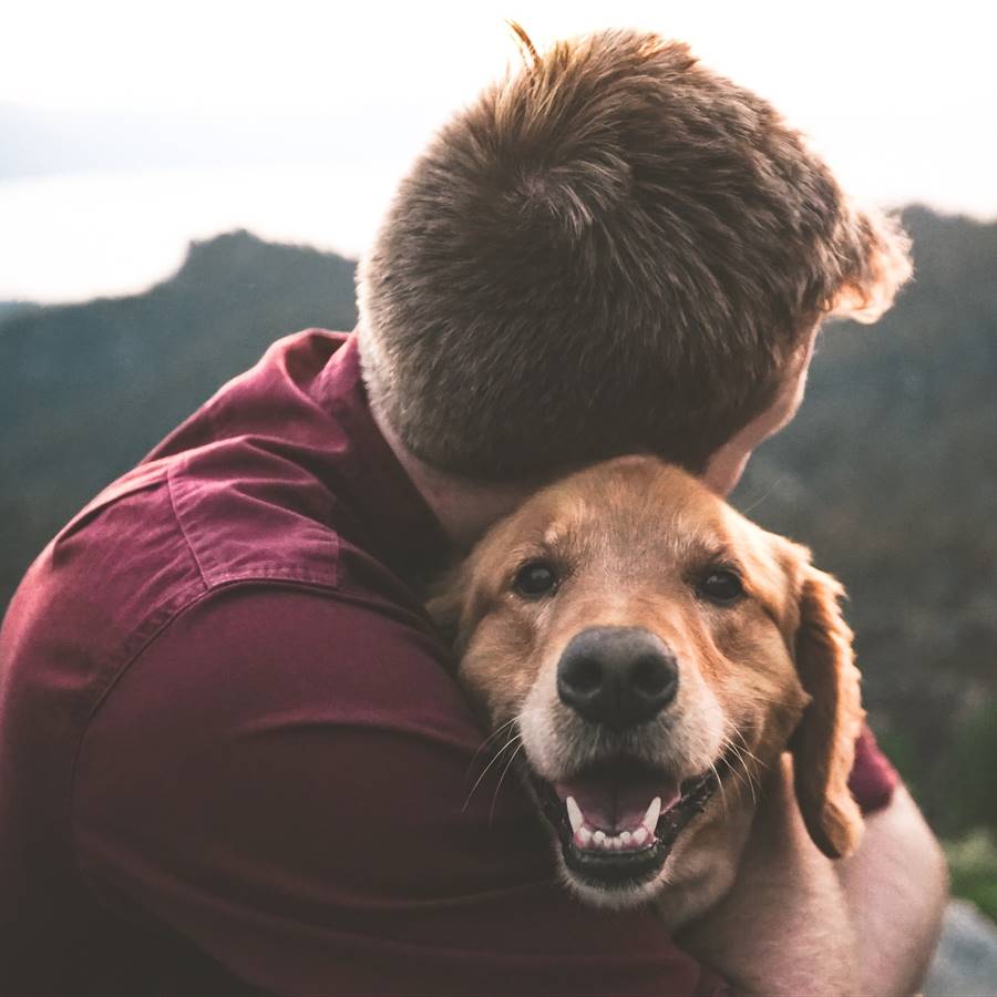 Vivir con un perro ayuda a sanar las emociones 