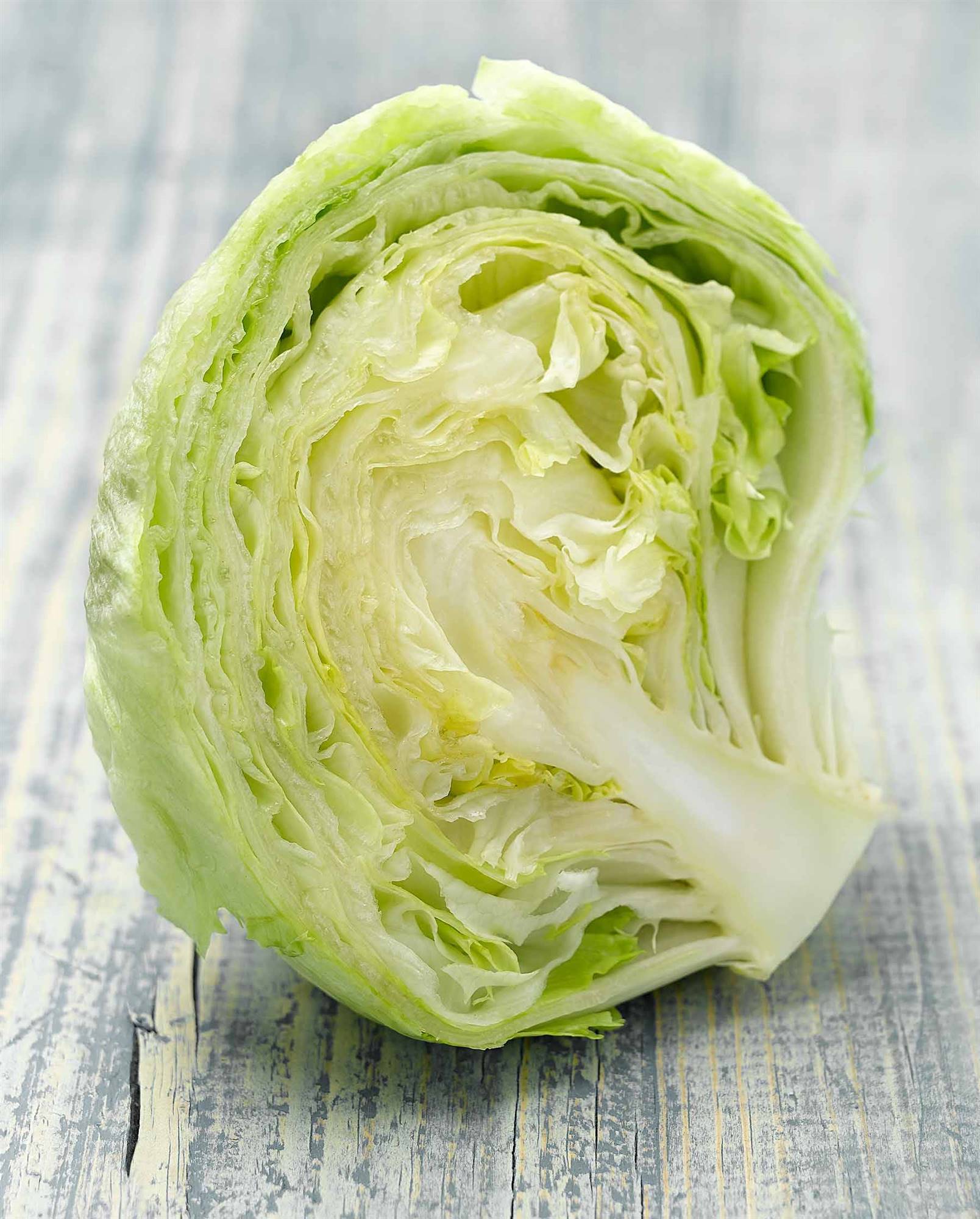 Lechuga iceberg