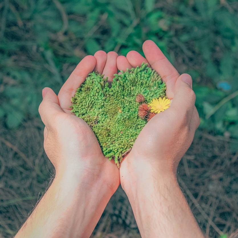 12: Respetar el ambiente