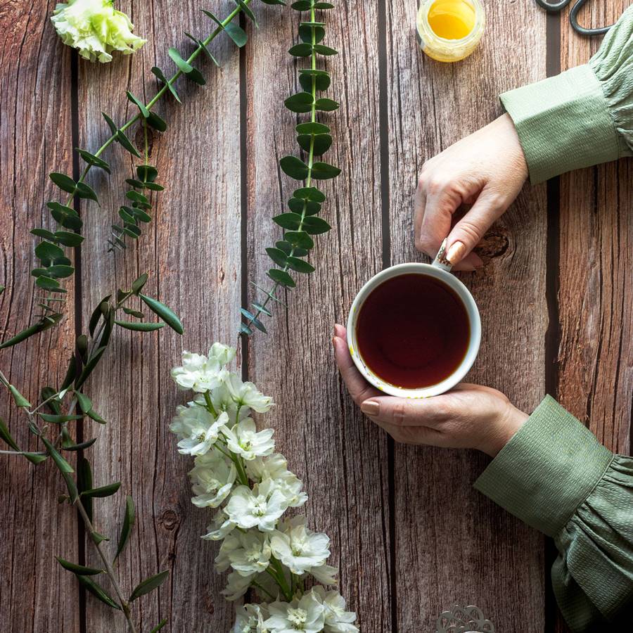 Infusiones deliciosas en minutos: guía para seleccionar tu