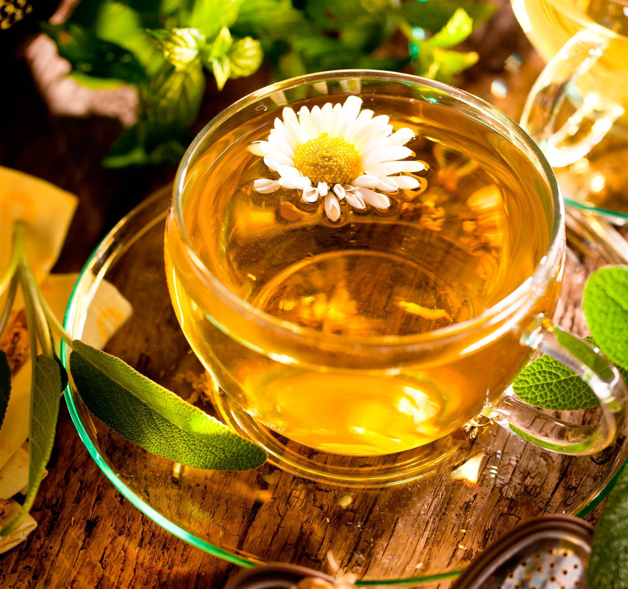10. Manzanilla