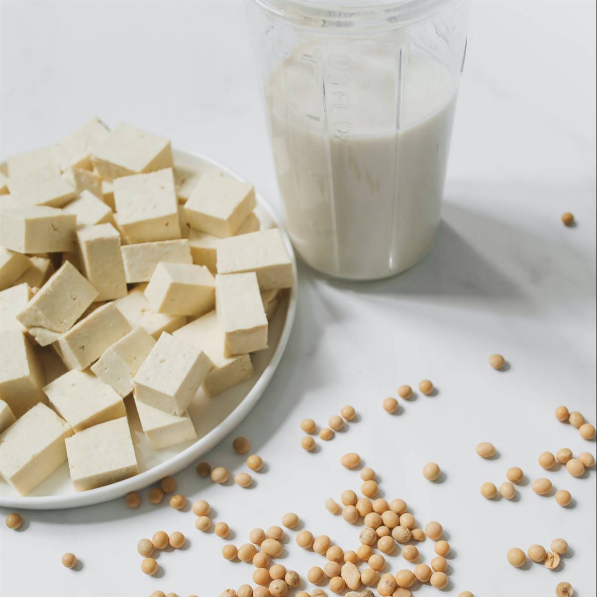 Tofu y leche de soja
