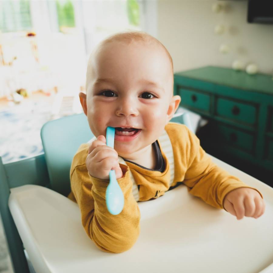 Platos y vasos sostenibles y libres de tóxicos para niños 