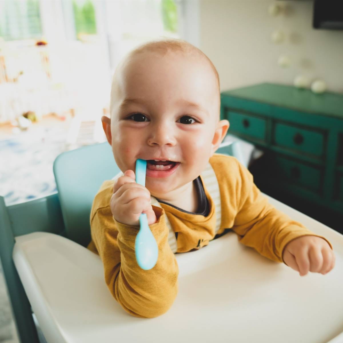 Platos y vasos sostenibles y libres de tóxicos para niños