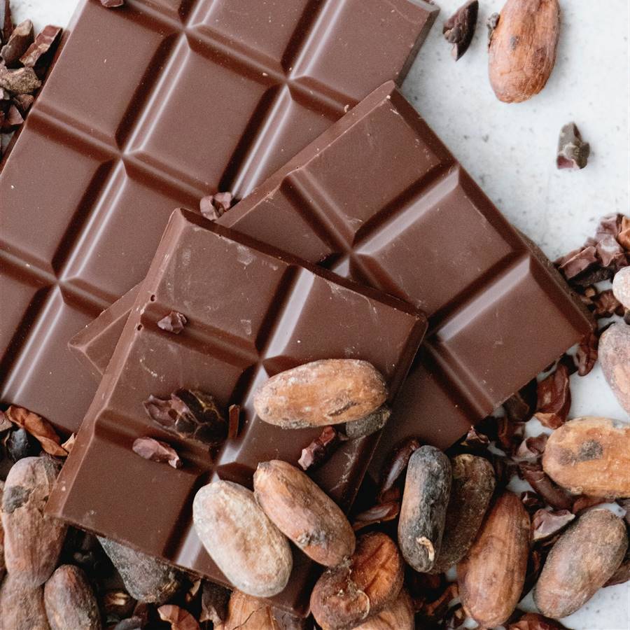 El cacao (de calidad) mejora el funcionamiento del cerebro