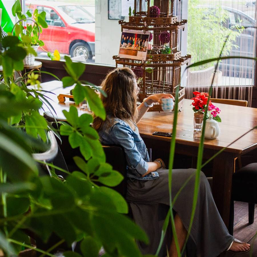 7 plantas muy útiles para la edad madura 