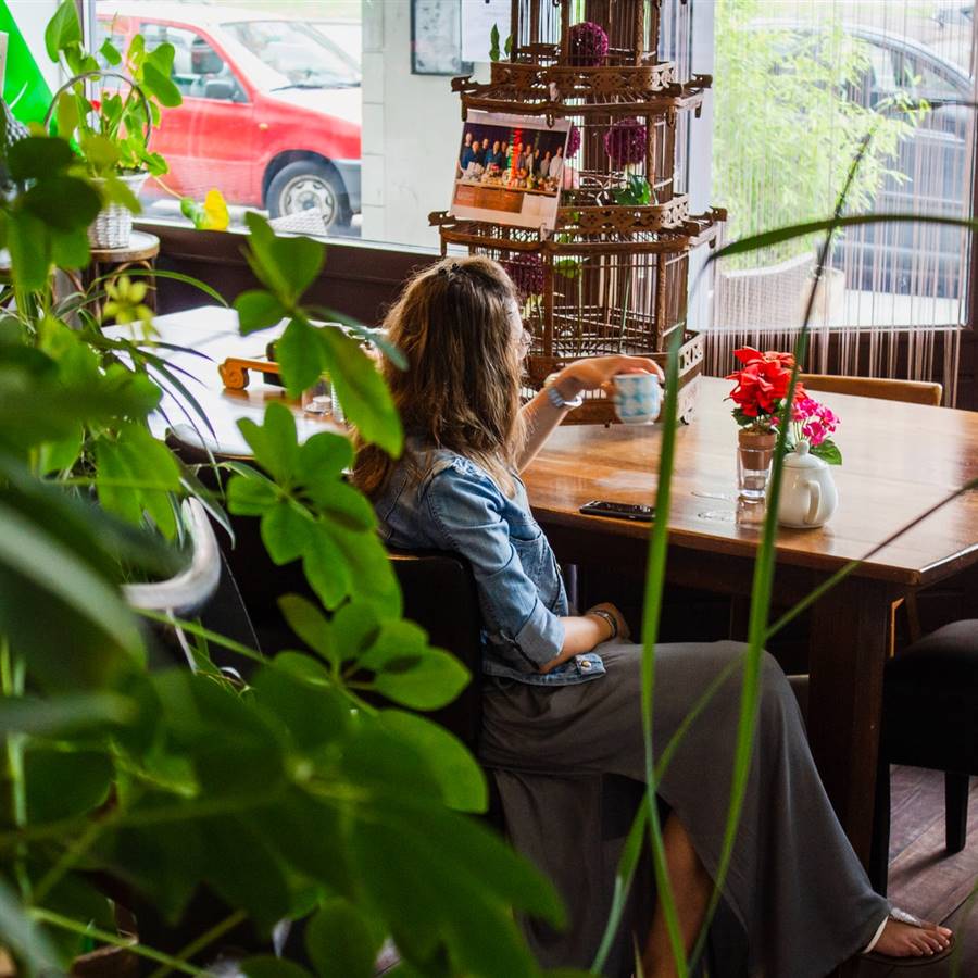 Plantas personas maduras