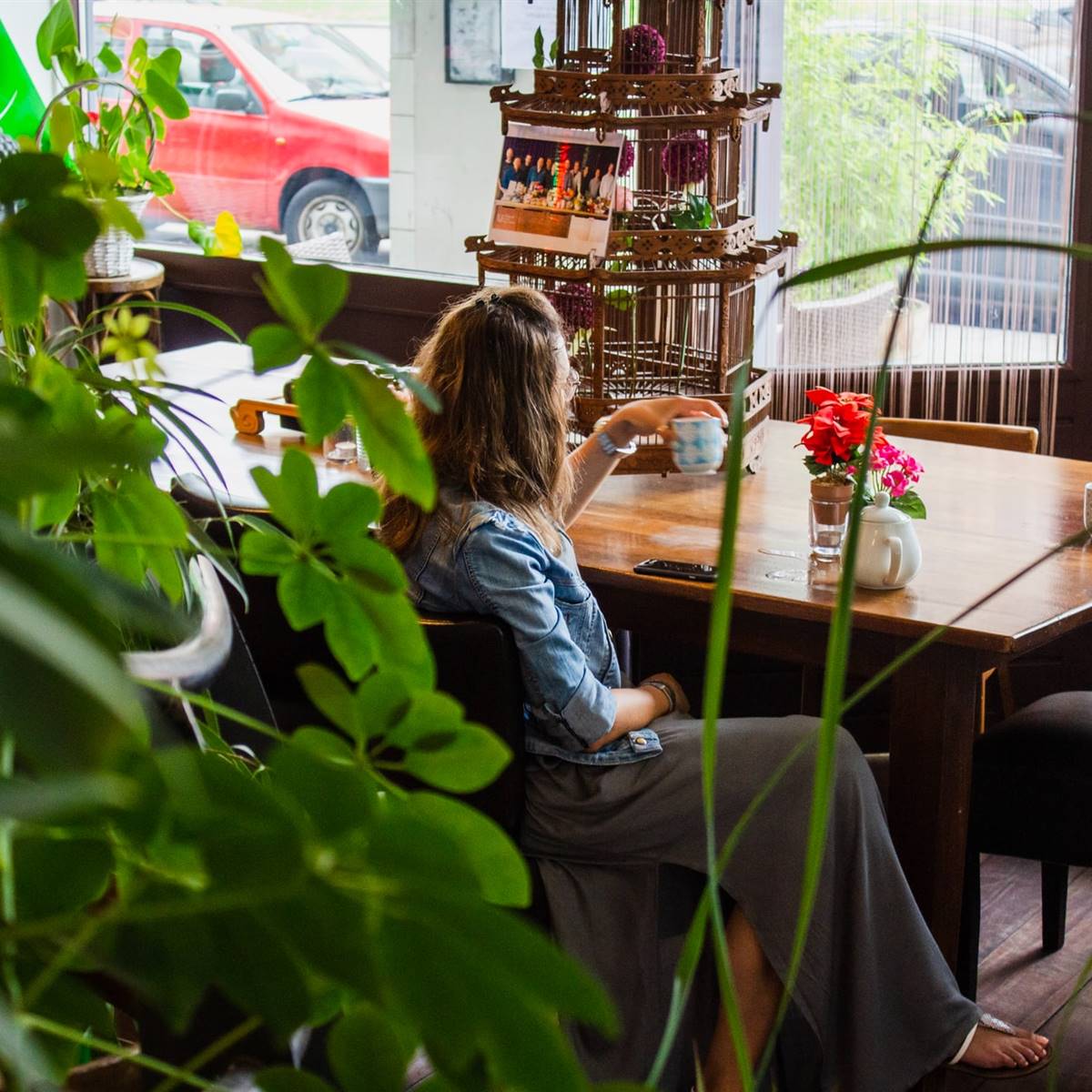 Plantas personas maduras