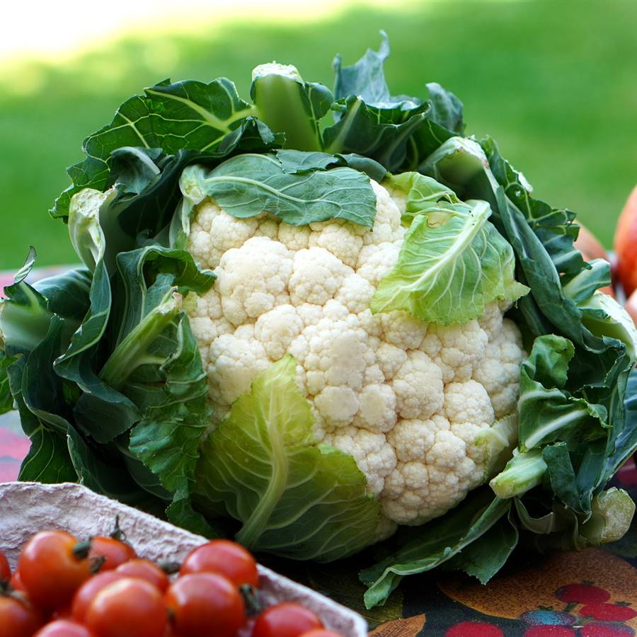 Deliciosas preparaciones crudas de coliflor