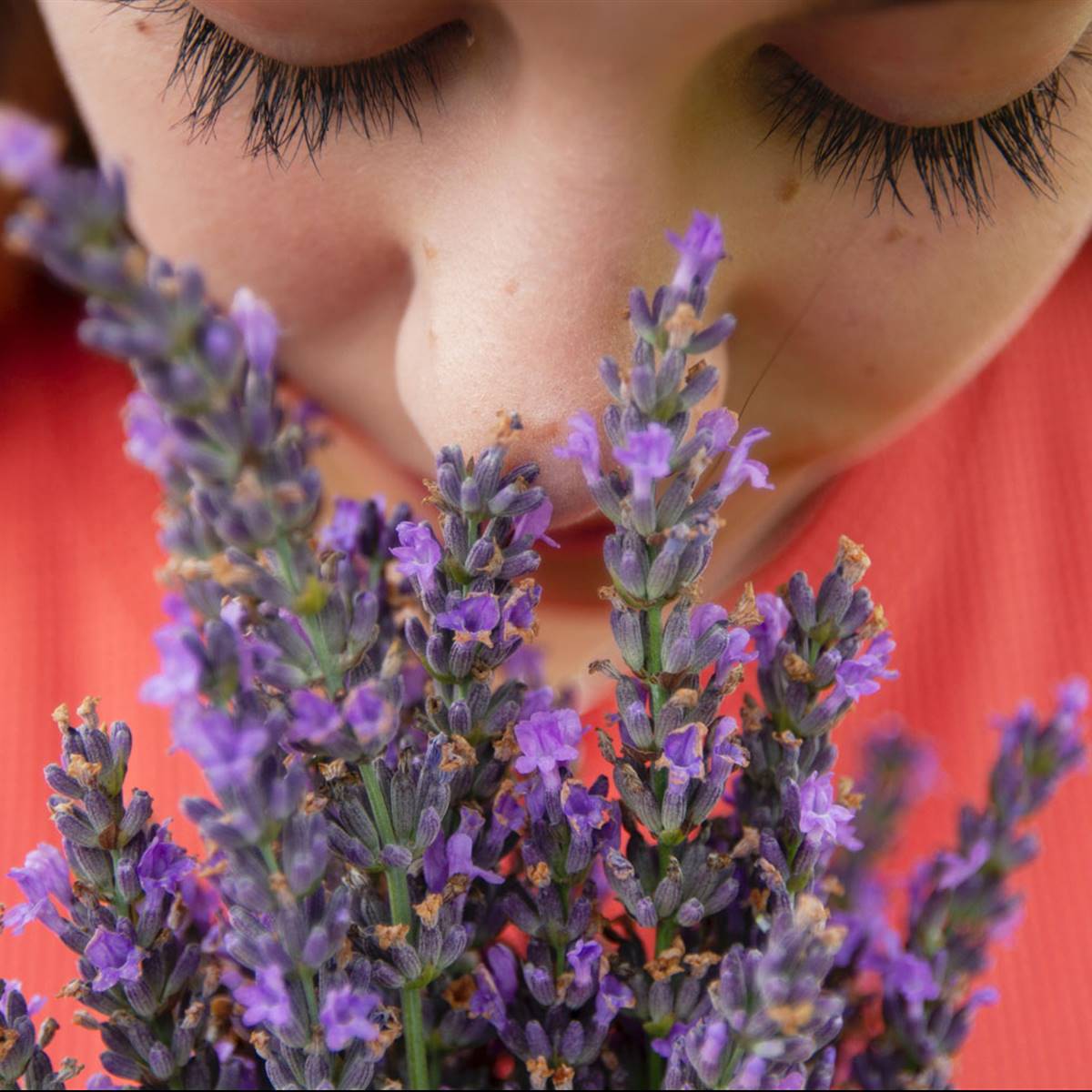 Aceite esencial de Lavanda ecológico