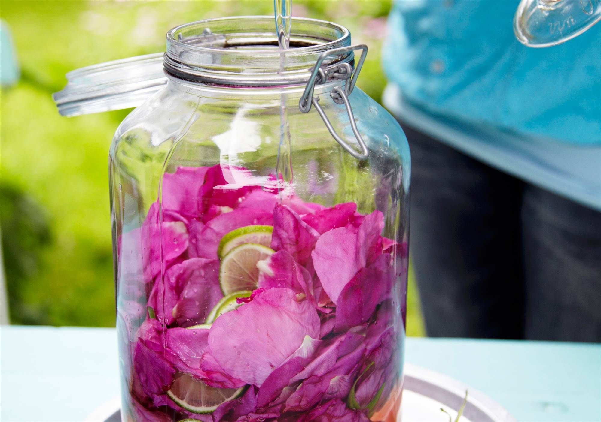 flor-de-rosa. Rosas
