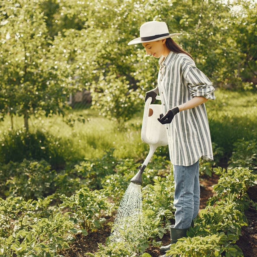 Agricultura ecológica: ¿por qué cada vez es más común?