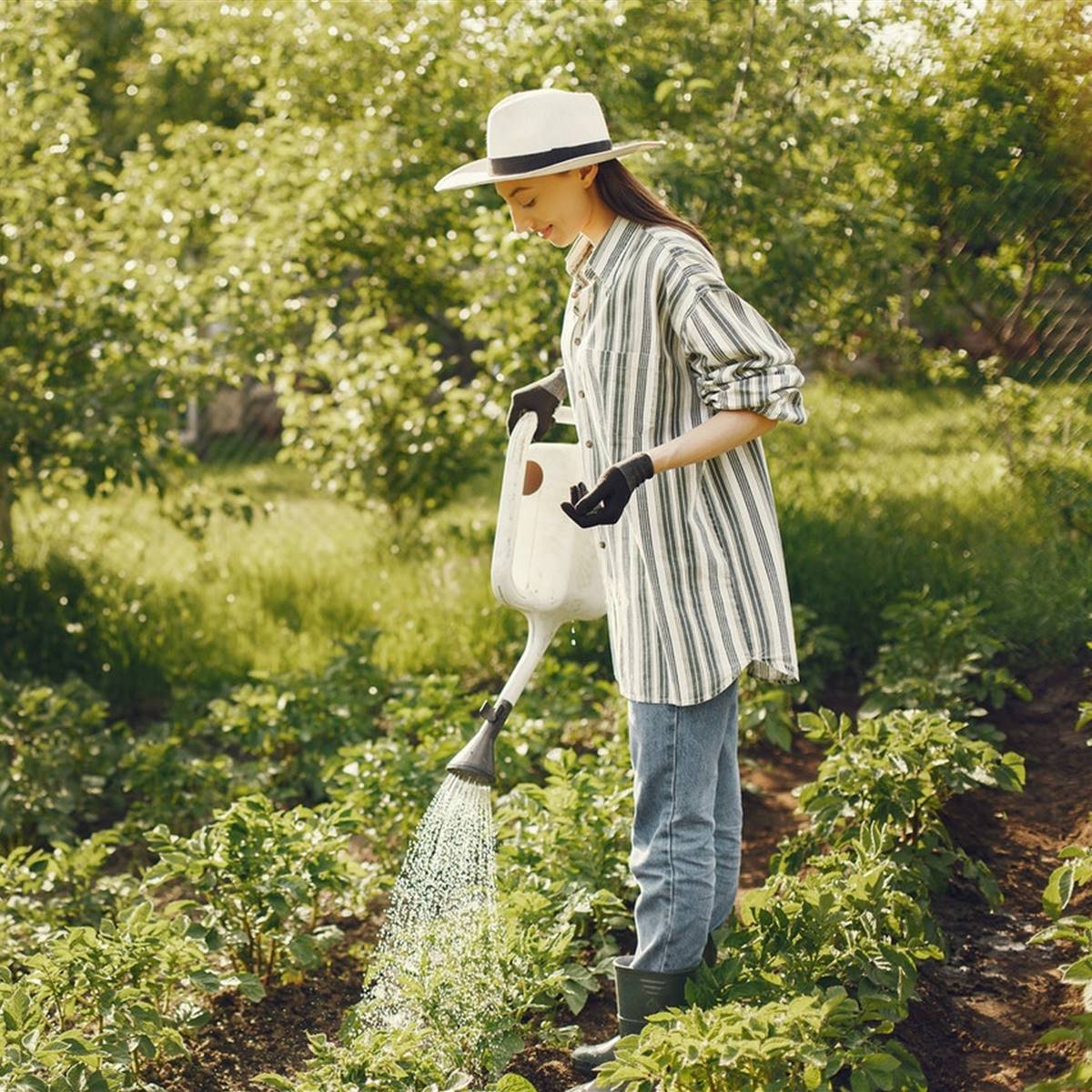 Agricultura ecológica