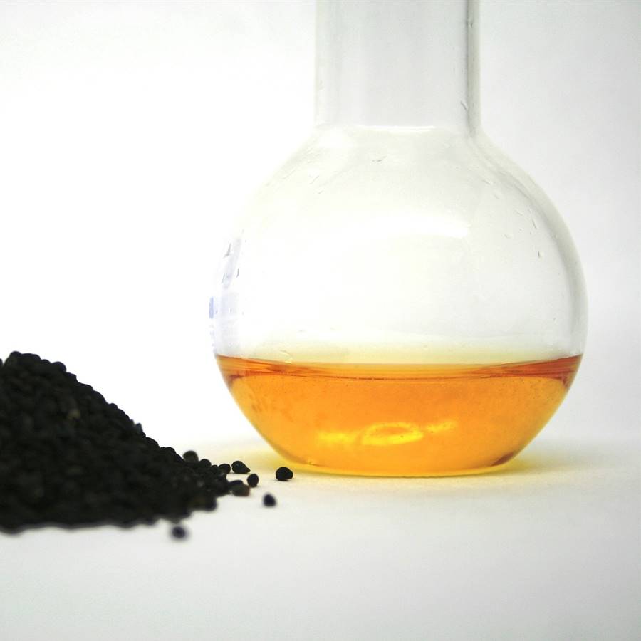 ¿Cuáles son las propiedades del aceite de comino negro? 