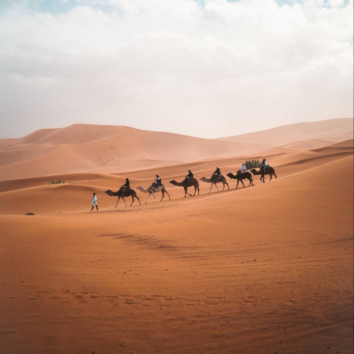 Desierto