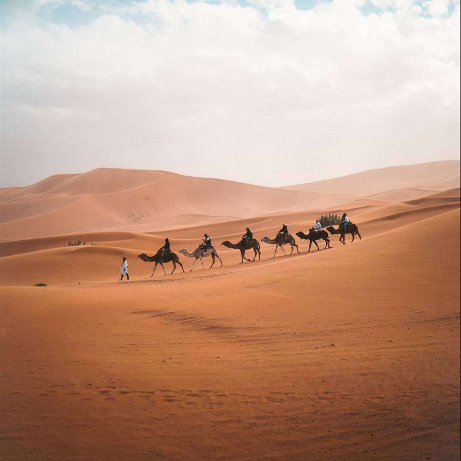 La libertad del desierto y su fuerza espiritual