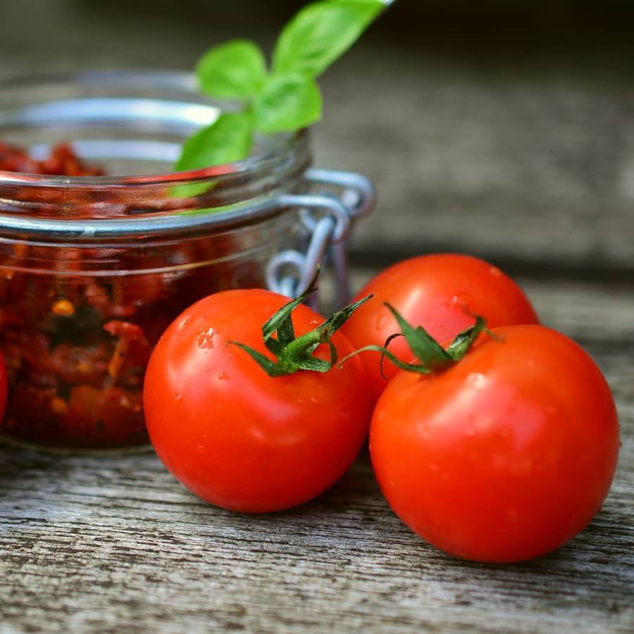 Disfruta todo el año de tu propia conserva de tomate casero