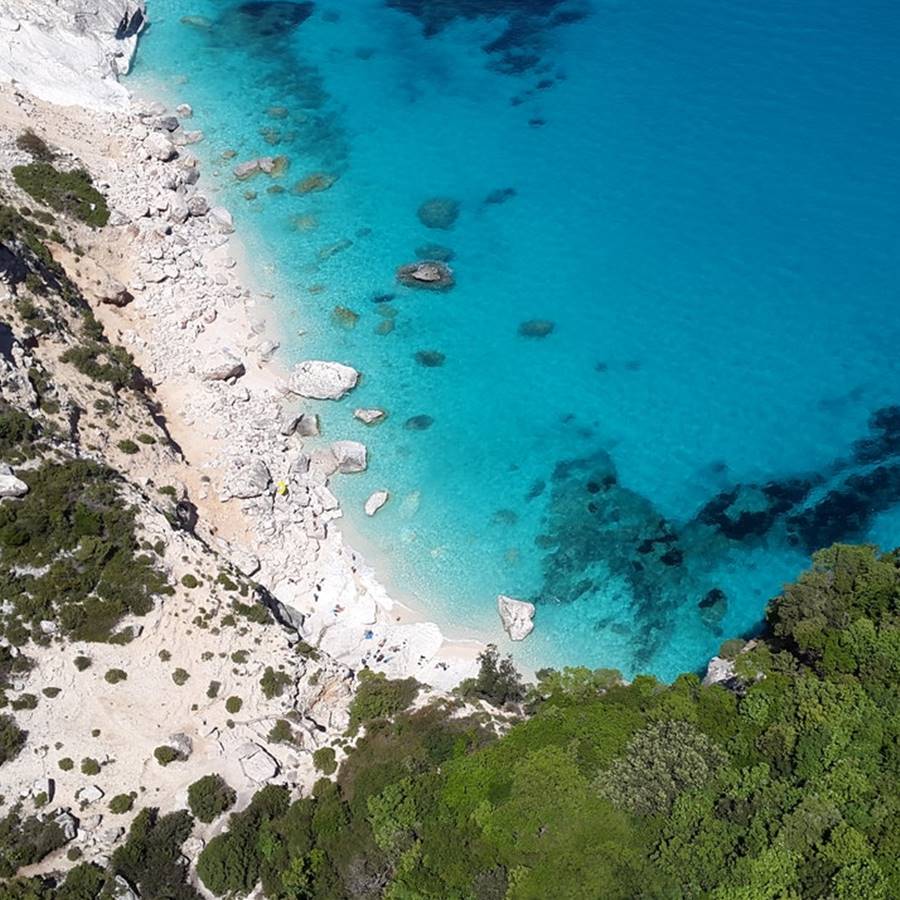 El mar Mediterráneo es el que más se calienta y se está "tropicalizando"