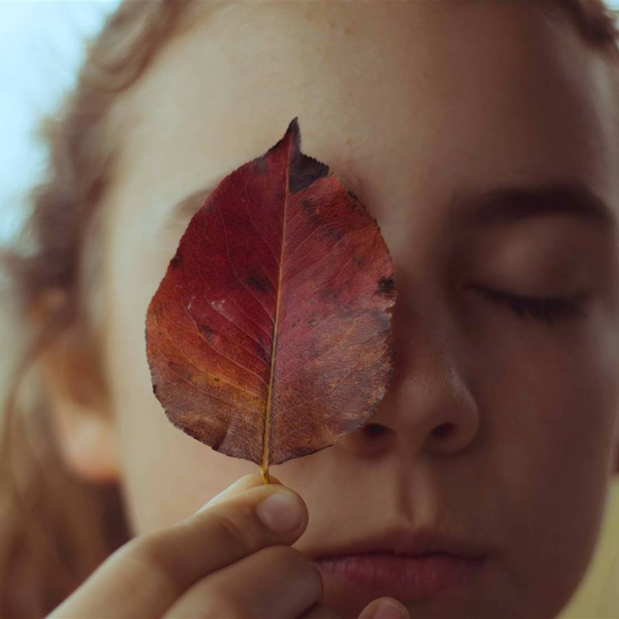 Más allá de la mente está la conciencia: cómo percibirla