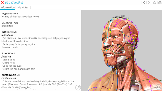visual acupuncture