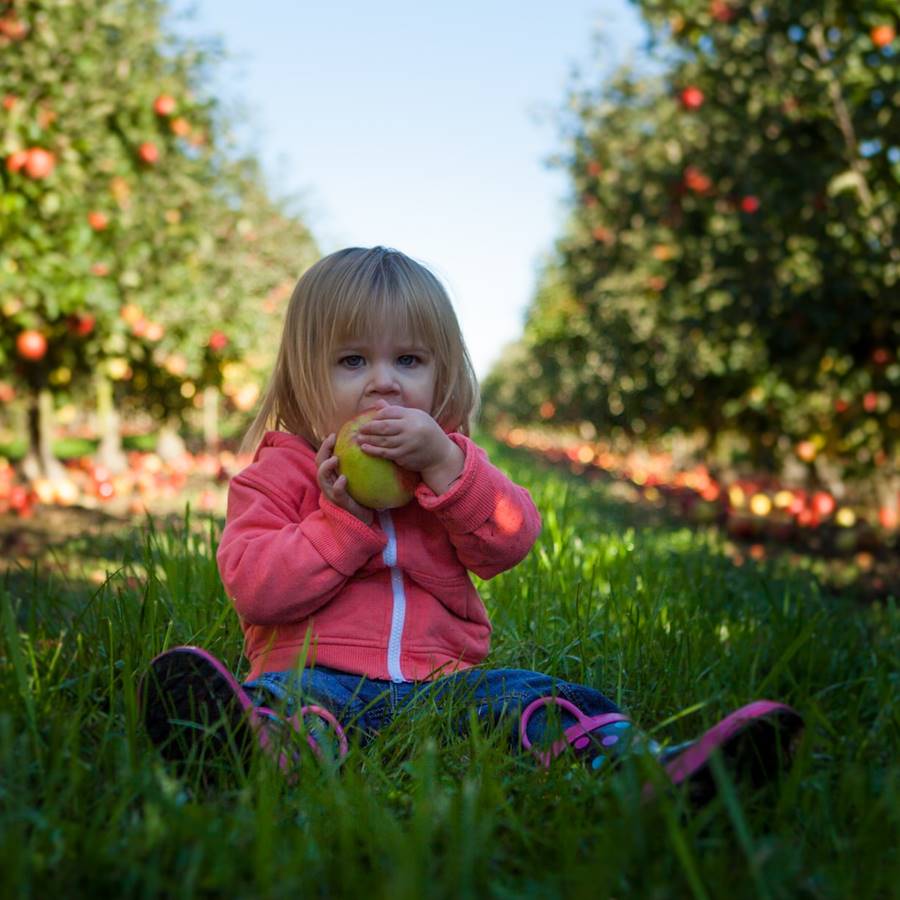 Los alimentos ecológicos favorecen el desarrollo de la inteligencia